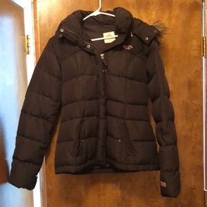 Dark Brown Hollister Jacket